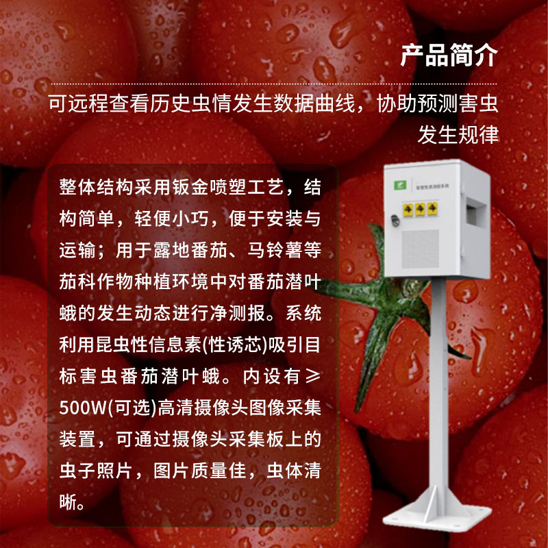 番茄潛葉蛾智慧性誘測報(bào)系統(tǒng)