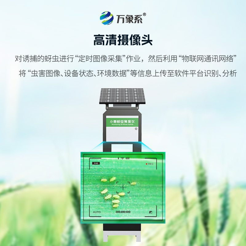 小麥蚜蟲在線監(jiān)測系統(tǒng)，小麥病害防治的利器之一